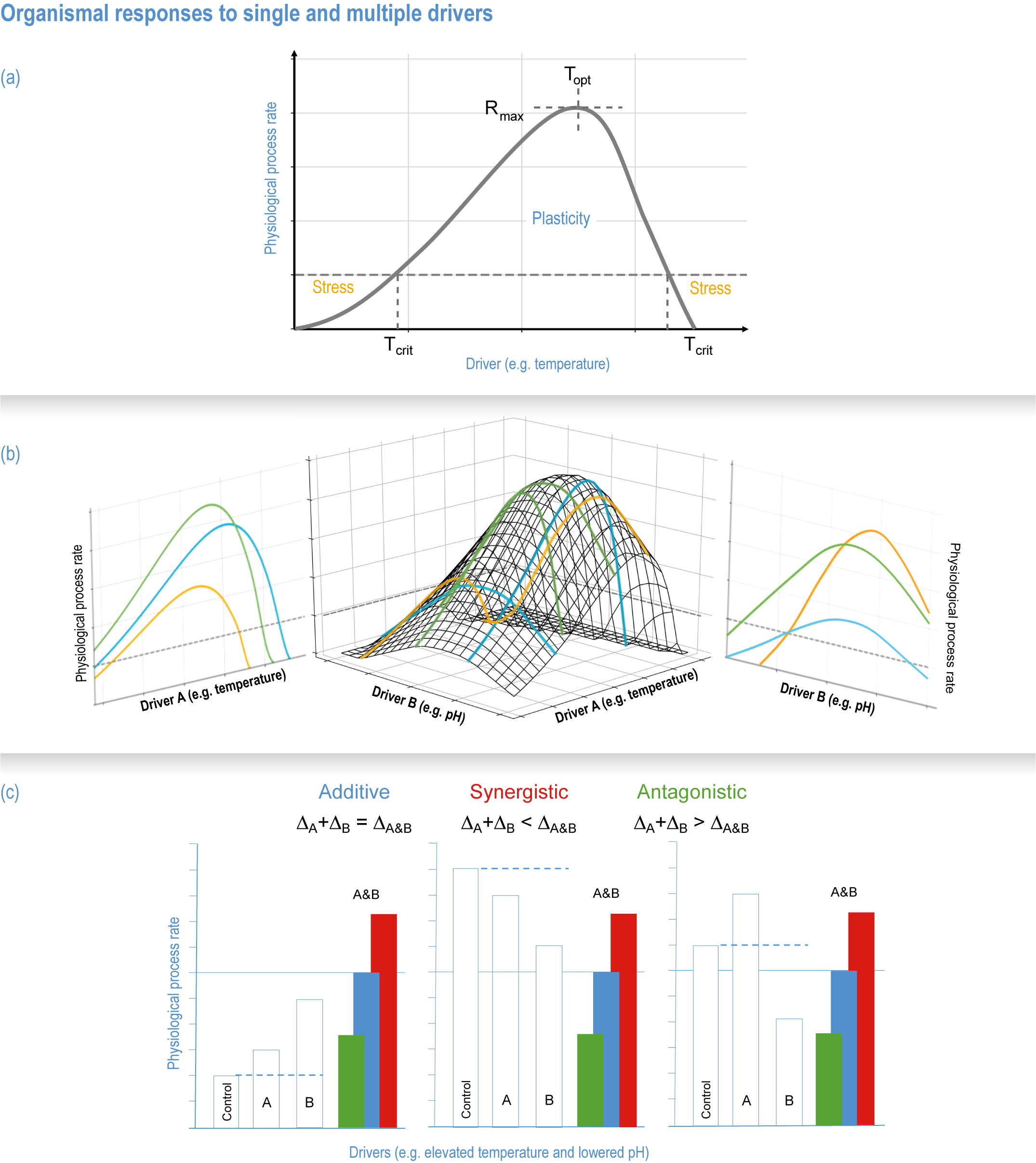 Help Online - Quick Help - FAQ-672 After I plot a spline curve, how can I  access the spline data?