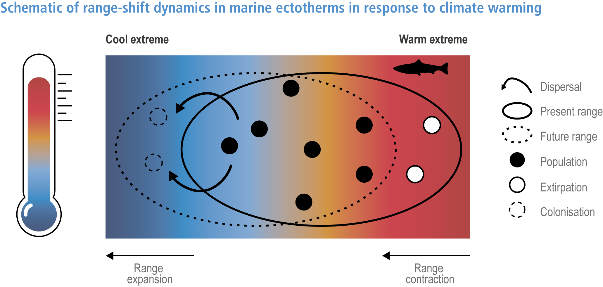 Long-term stability in the circumpolar foraging range of a Southern Ocean  predator between the eras of whaling and rapid climate change