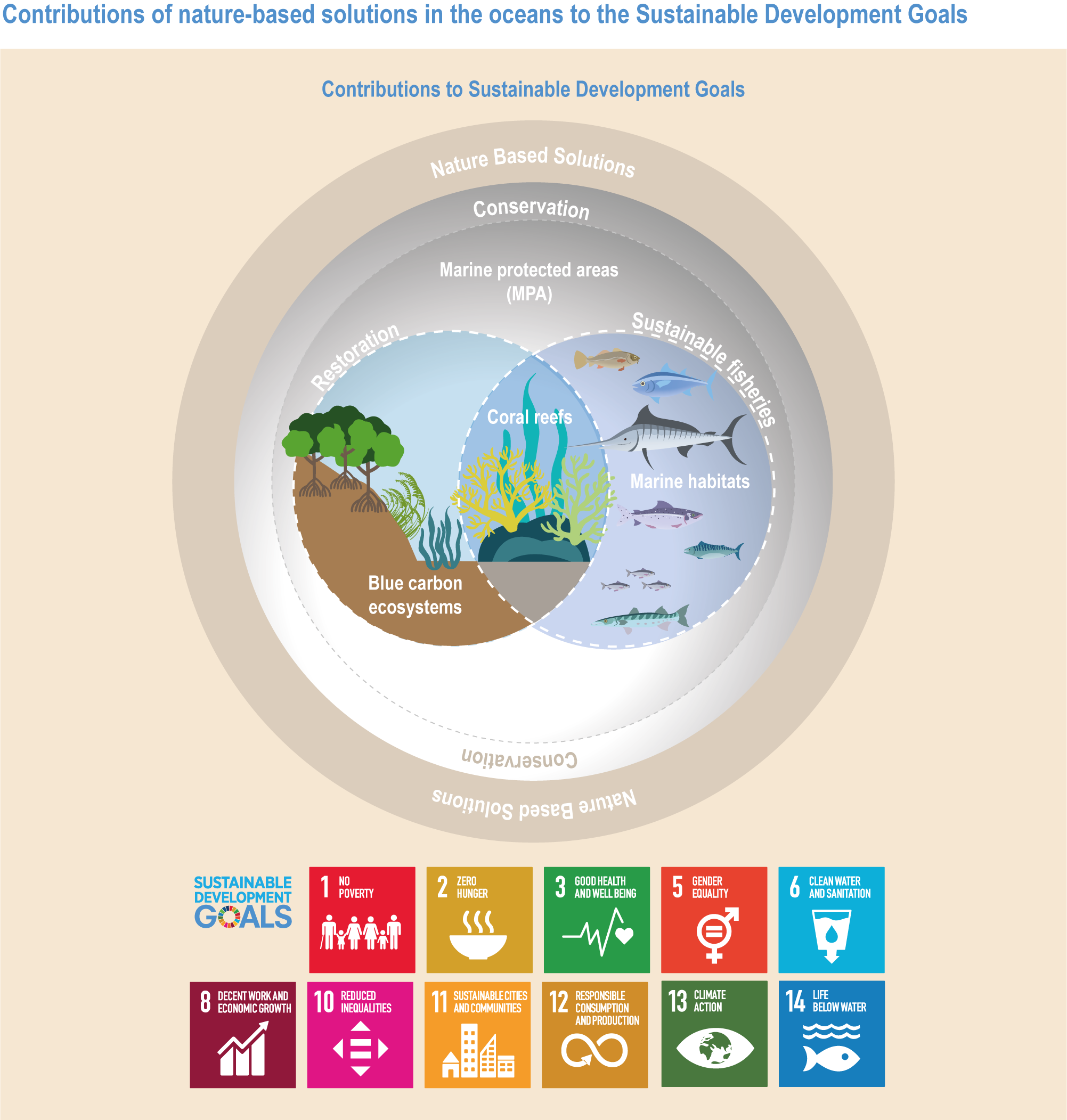 npj Ocean Sustainability