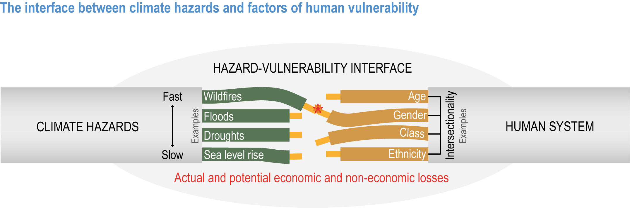 New England Forest Vulnerability  Climate Change Response Framework