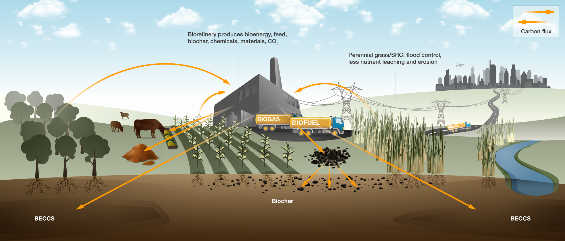 Willow Tree Chemistry Acts as Bio-Refinery To Treat Wastewater