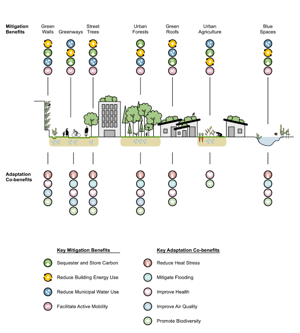 A Snapshot of Urban Green Finance in Two Indian Cities - CPI