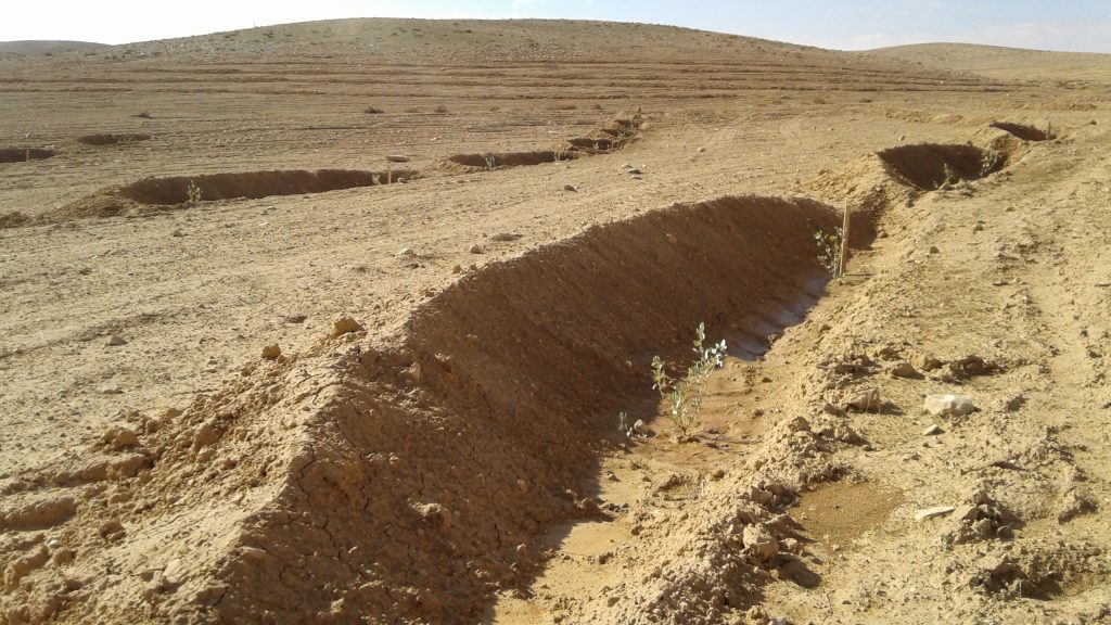 case study on desertification